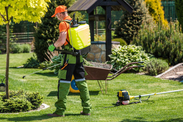 Best Outdoor Pest Control  in Fruitport, MI